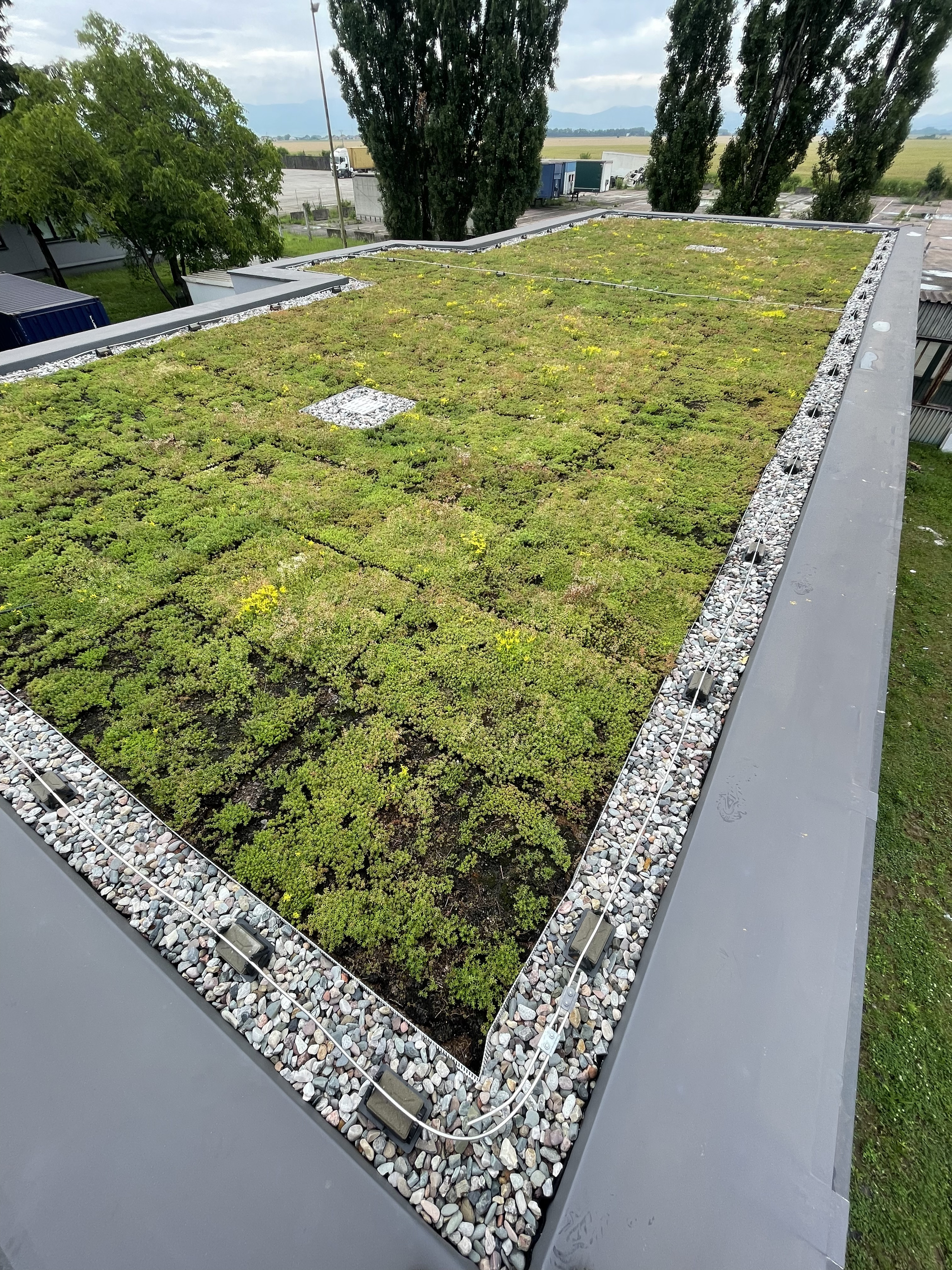 realization.title-img